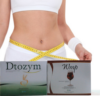 diet herbal alami diet herbal alami
