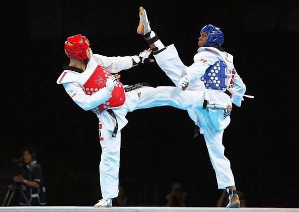 The Fist and Kick Blog TaeKwonDo