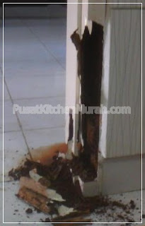 Serangan Rayap Rayap Menyerang Furniture