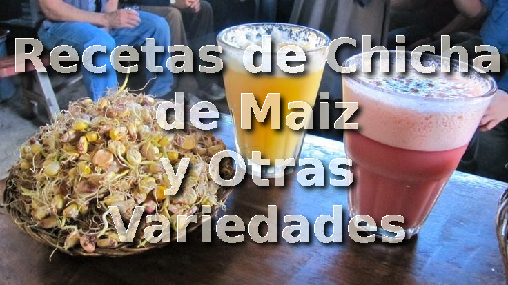 Recetas de Chicha