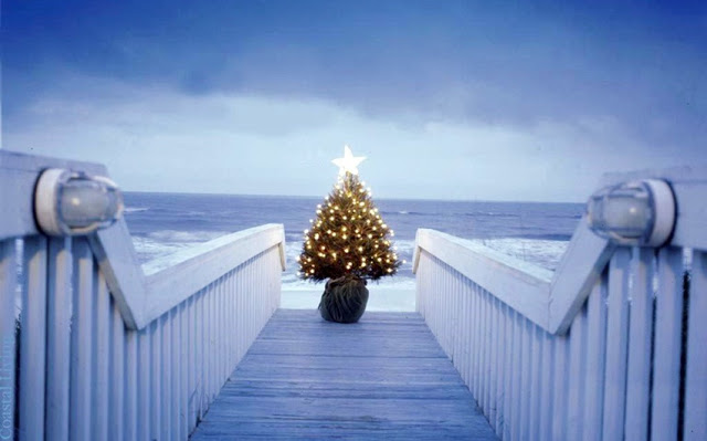 christmas tree images christmas tree images