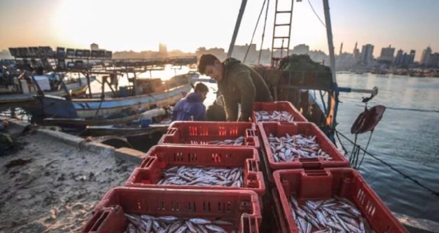 Israel Cabut Pembatasan Zona Penangkapan Ikan di Gaza