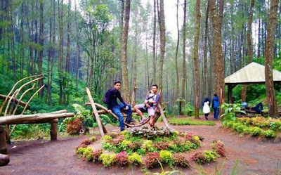 wisata-karacak-valley