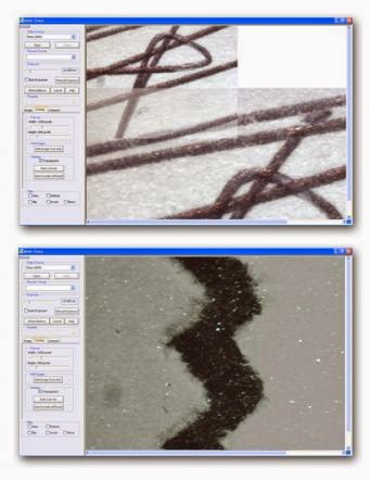 Motic Trace forensic microscope comparison software.