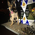 Com apoio de cães farejadores, PM localiza 1.5 quilos de maconha em Ceilândia