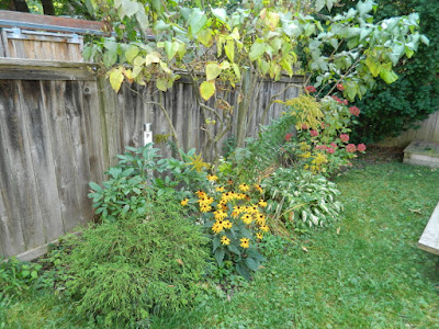 Riverdale backyard Toronto fall clean up before by Paul Jung Gardening Services Riverdale backyard Toronto fall clean up before by Paul Jung Gardening Services