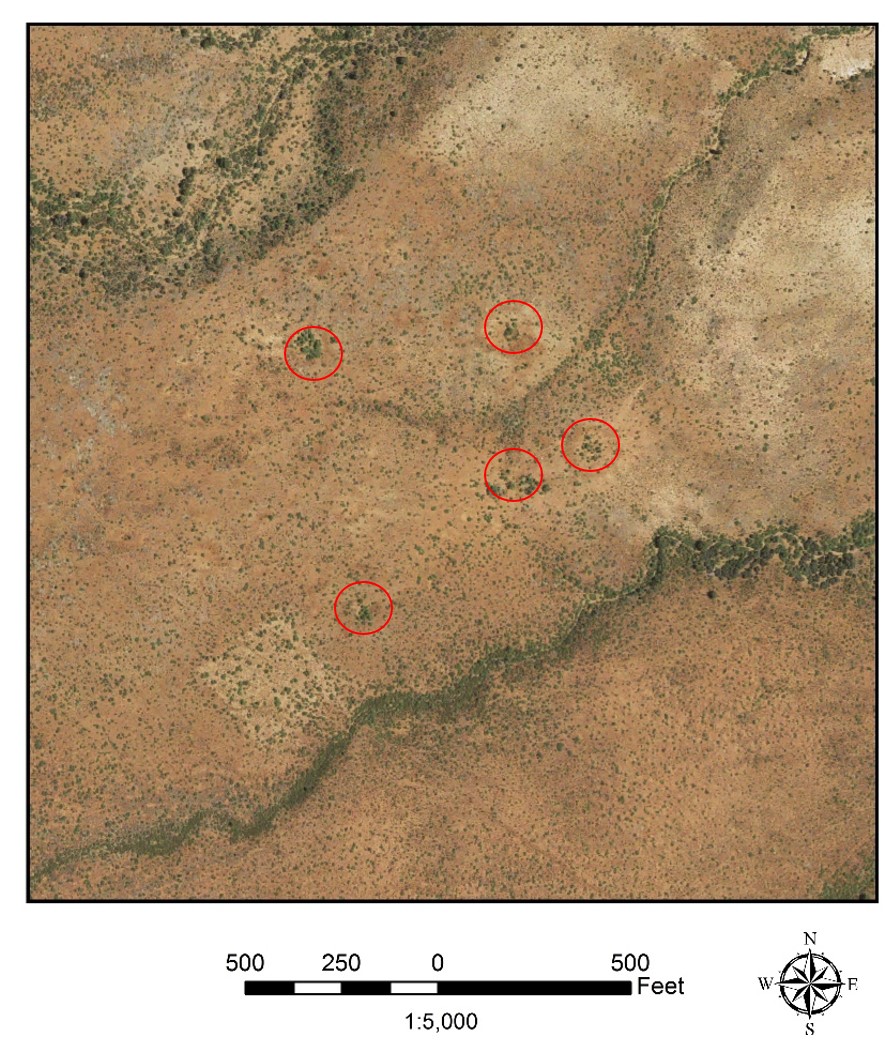 2017 image of a portion of the black canyon crater field red circles have been placed around several of the craters 2017 image of a portion of the black canyon crater field red circles have been placed around several of the craters