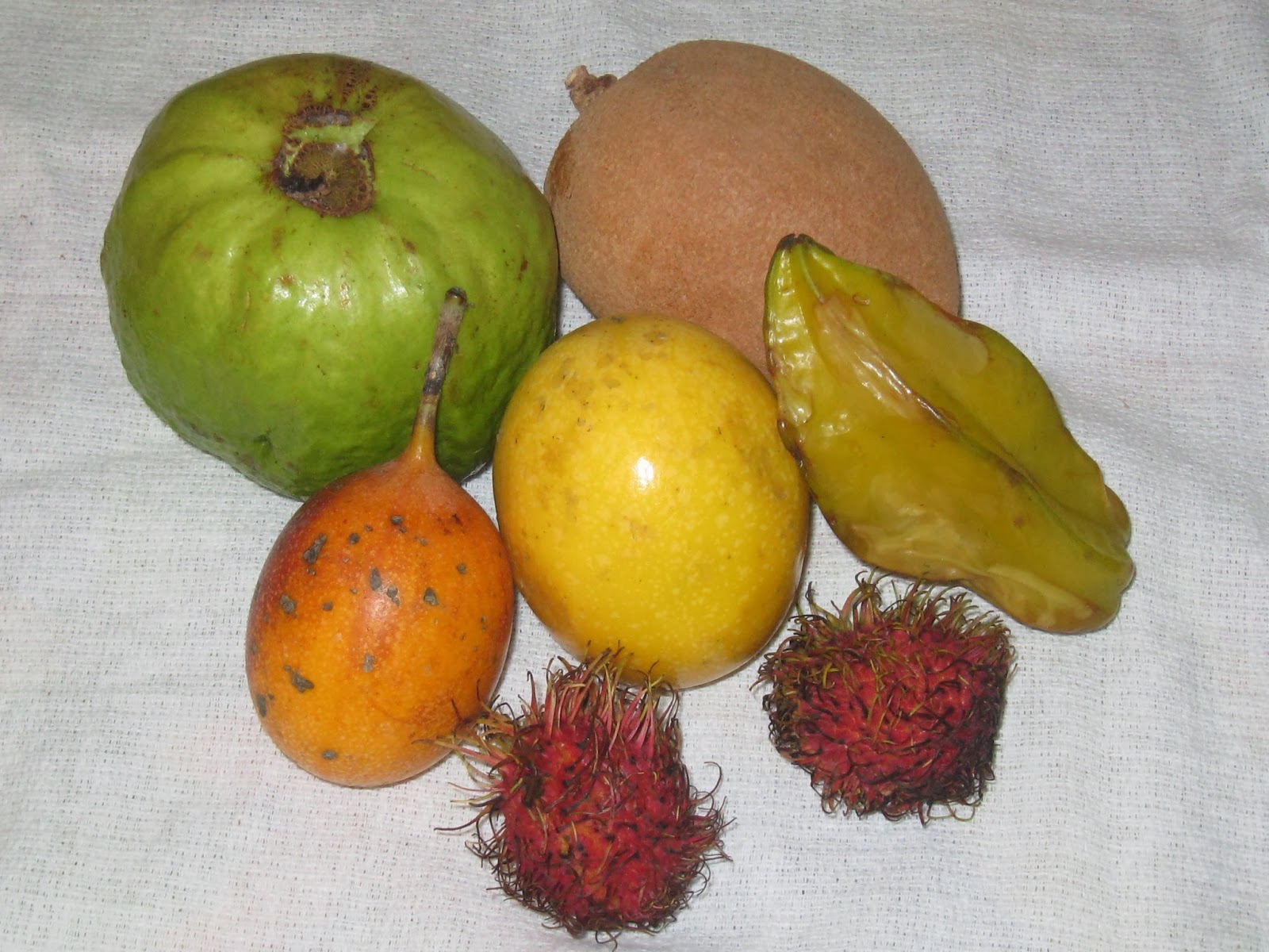 Not all who wander are lost Yummy Salvadoran food