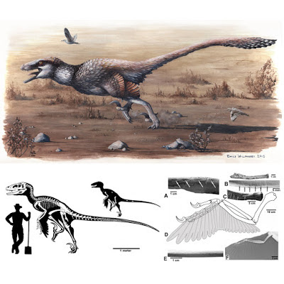 Dakotaraptor