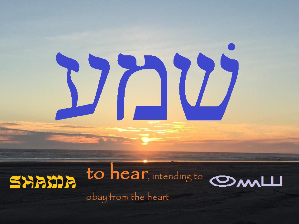 Psalm 26 In Hebrew Psalm 26 In Hebrew
