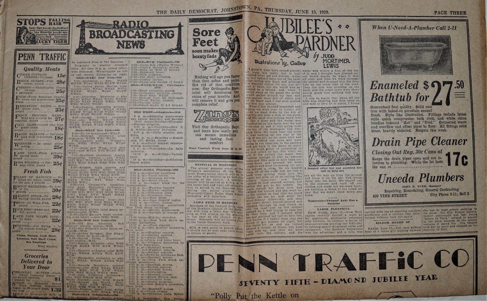 Old Johnstown Newspapers 13 June 1929 The Johnstown Democrat