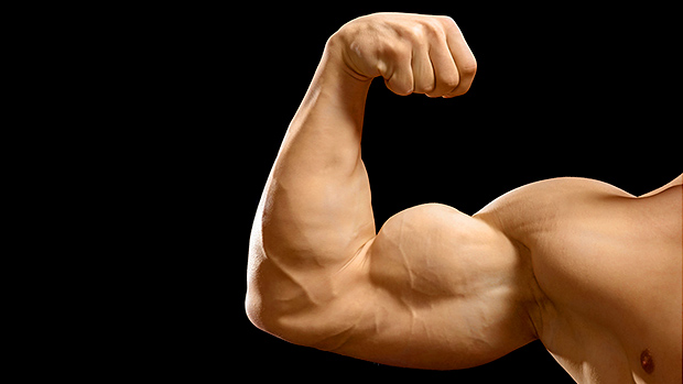 Top 10 Best Biceps Workout For Massive Size