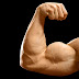 Top 10 Best Biceps Workout For Massive Size