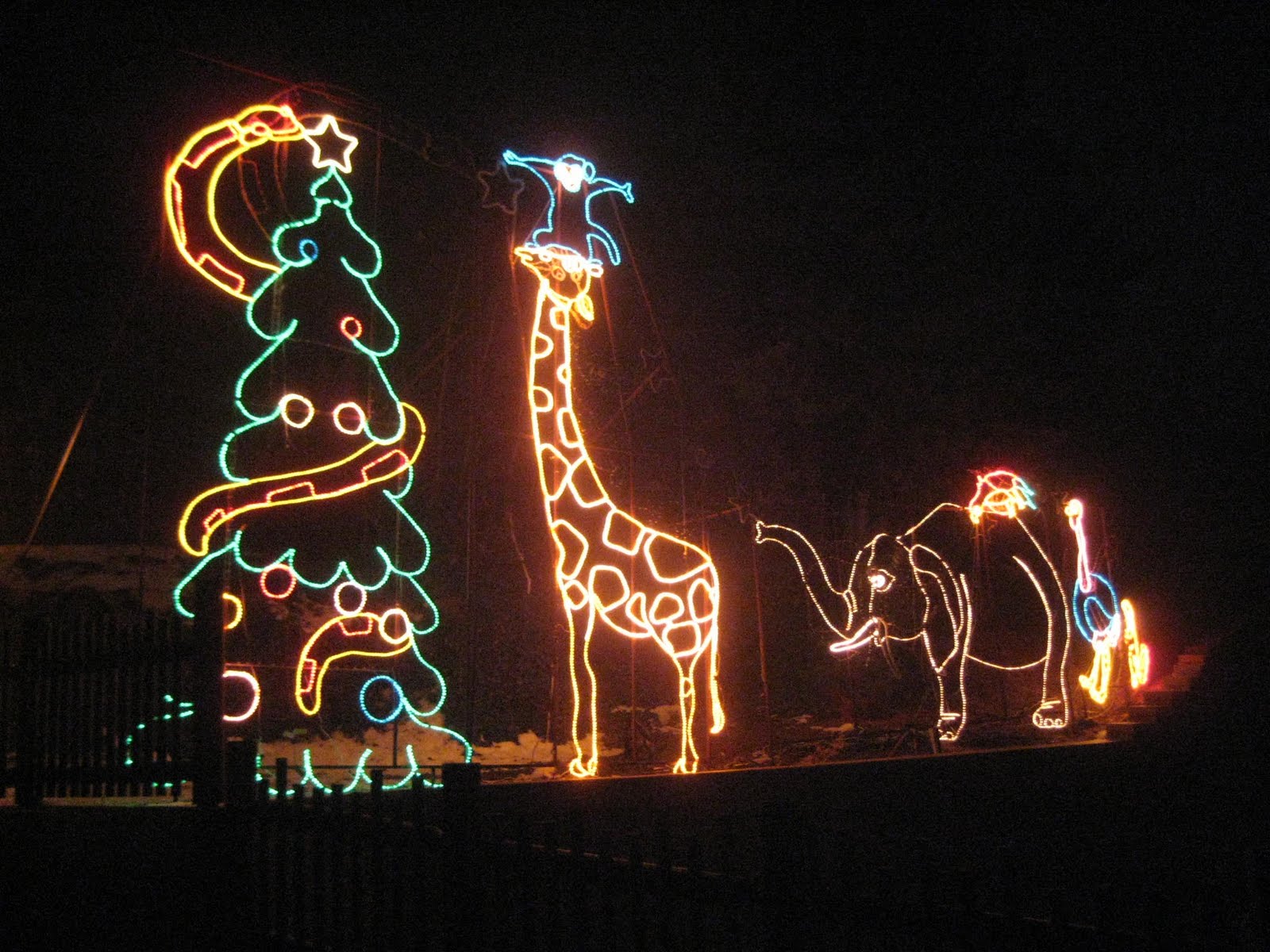 Cheryl and William Hogle Zoo Lights