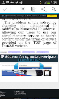 Host to ip fastssh Cara pointing bug host ke ip