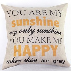So The Cook Said Cheap Cute Pillow Covers
