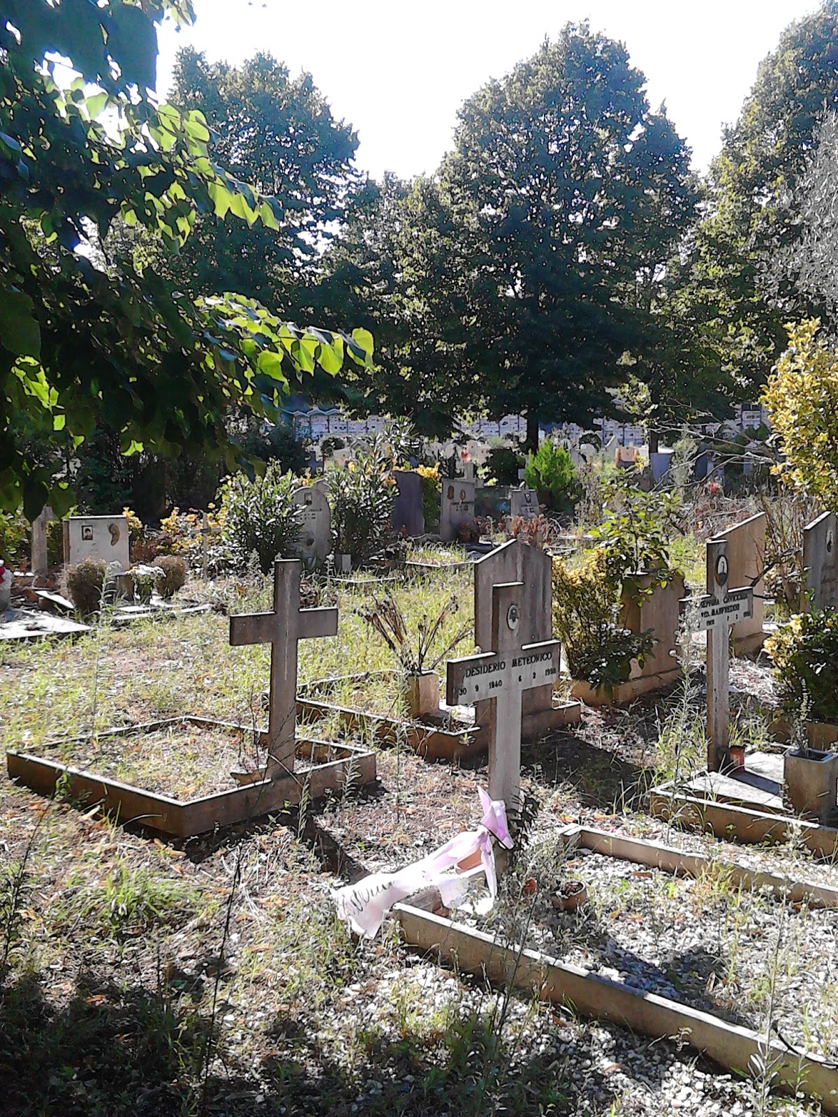 ROMA FA SCHIFO Le strazianti condizioni del Cimitero di Prima Porta. Defunti umiliati in