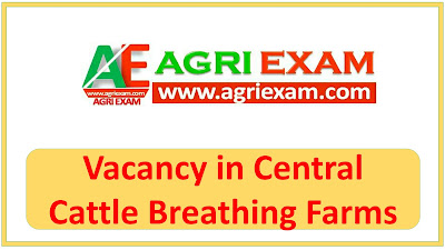 Vacancy in CCBF