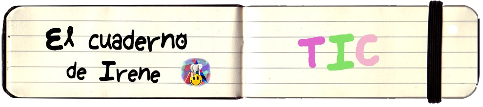 Notebook TICEF de IRENE