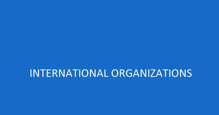 International Organization Notes PDF for Competitive Exams