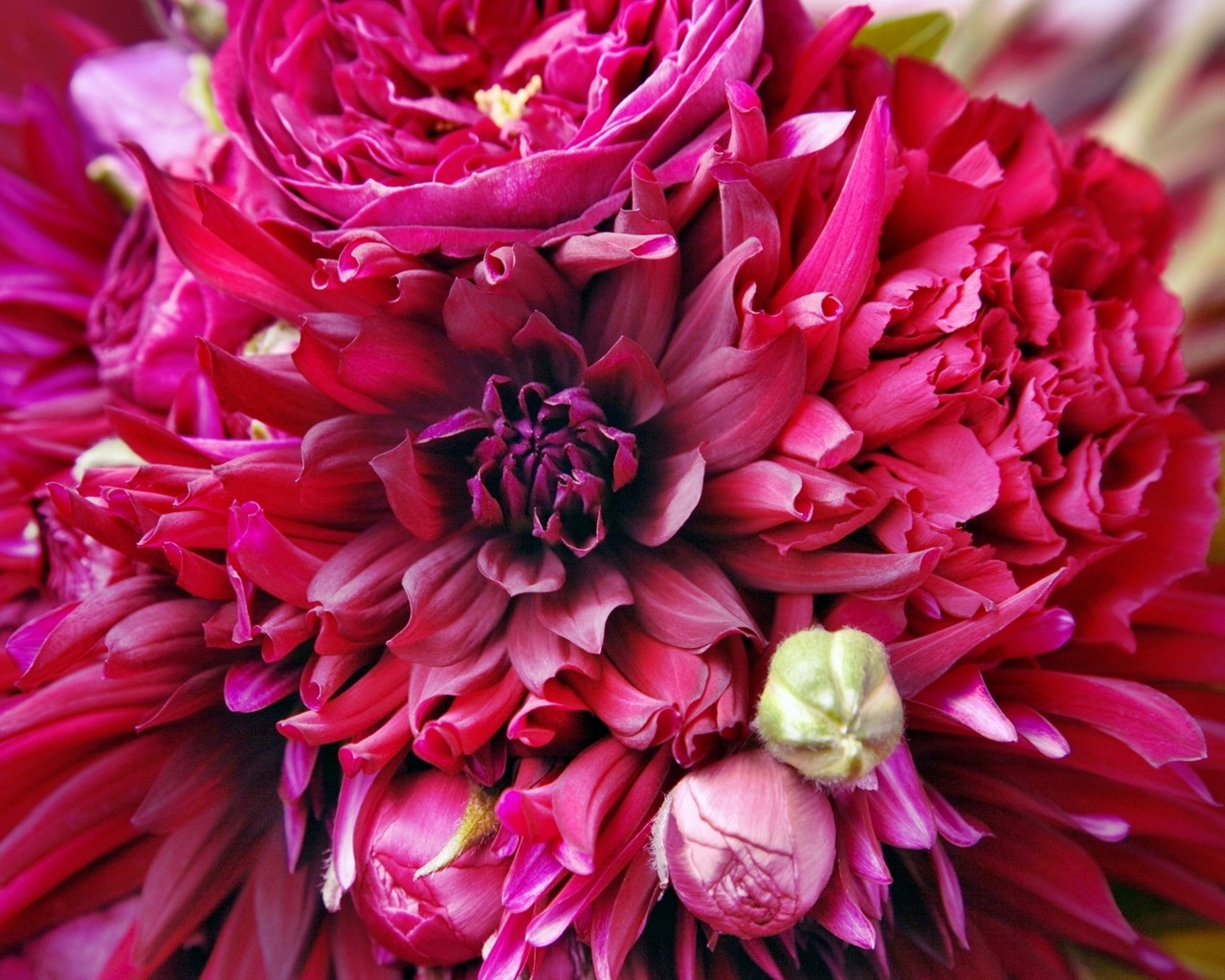 hd wallpapers 2012 Flowers wallpapers for hp laptop