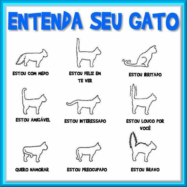 Que medicina aceitar de parasitas em um organismo