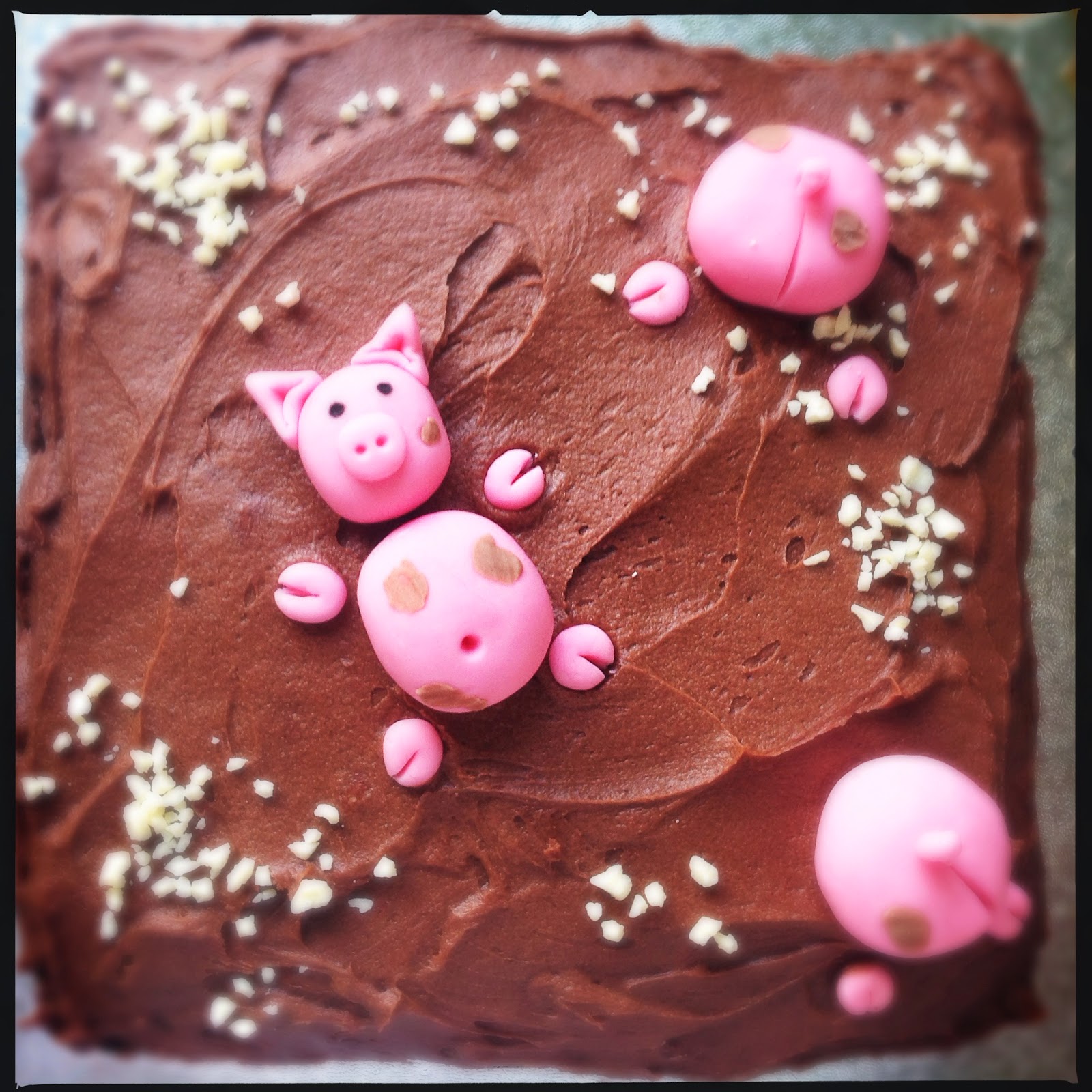 United Cakedom Mud Cake {Race for Life Pretty Muddy}