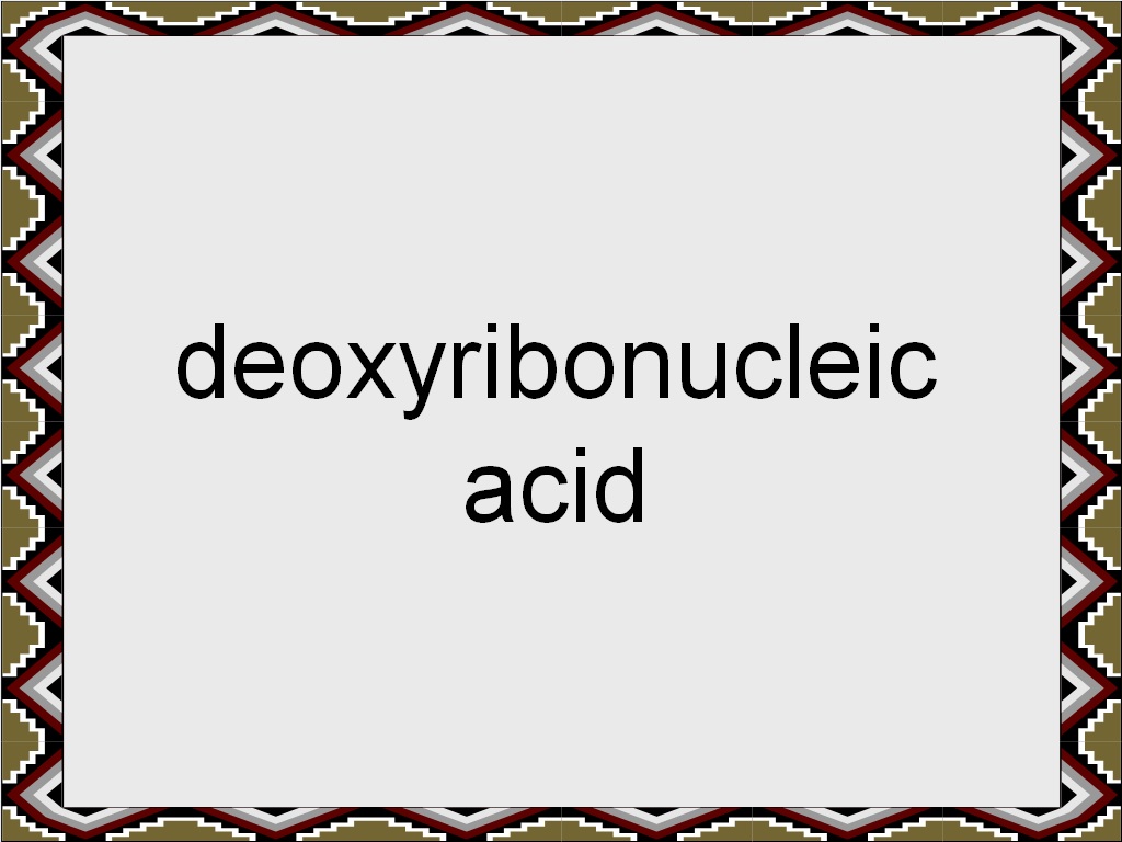 Student Survive 2 Thrive: Medical Terminology Flash Cards