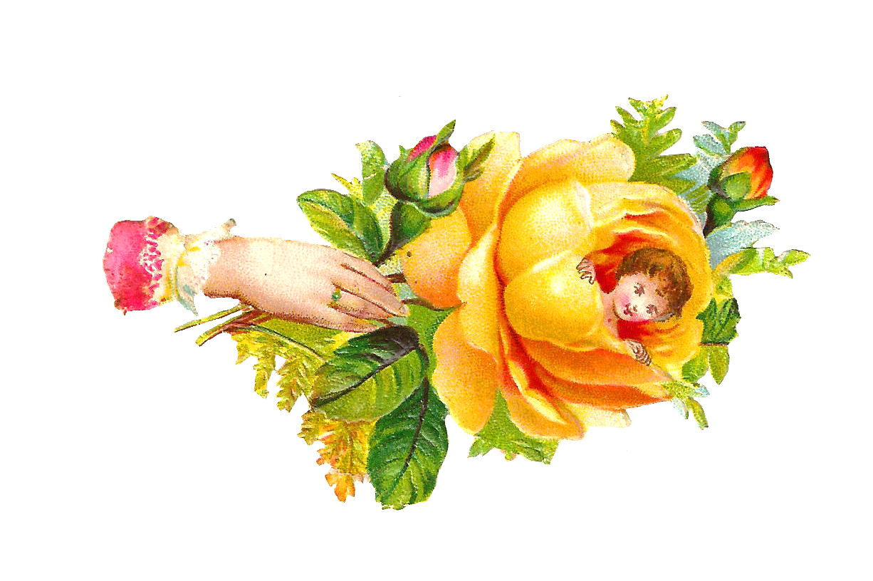 clipart yellow roses free - photo #48