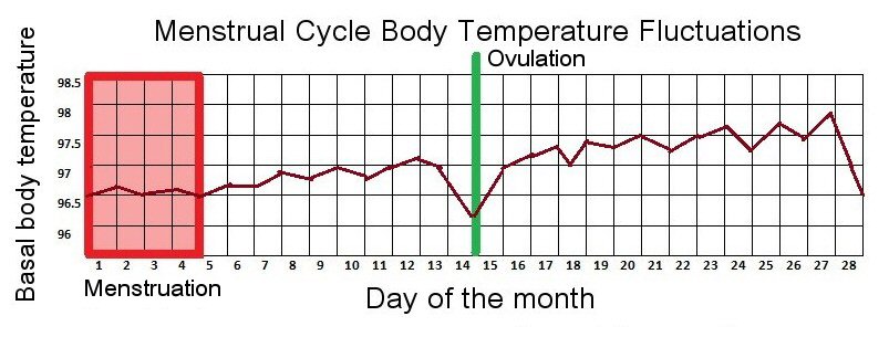 Basal Metabolic Temperature Chart