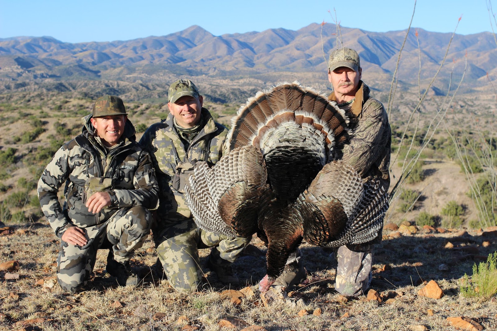 Goulds Turkey Hunt 2016 Gould's Turkey Hunting in MexicoJeff Miller