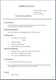 Profile Resume Example