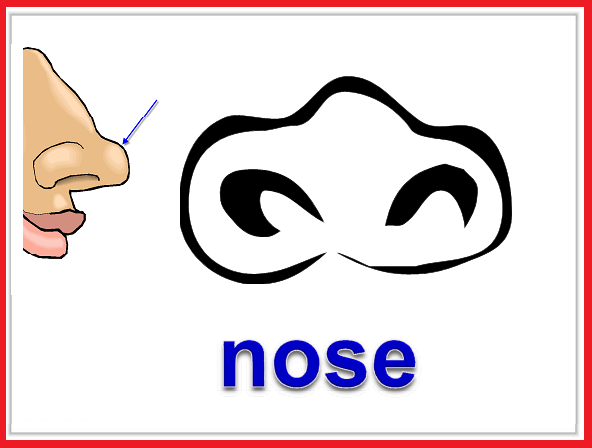 Слово рот на английском. Карточка нос. Карточки Parts of the body nose. Nose картинка для детей. Карточка нос на английском.