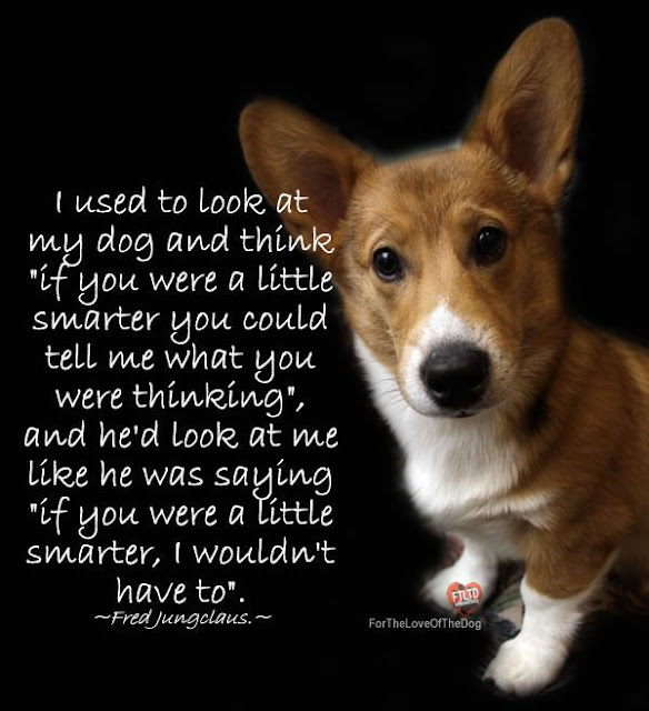 Stories, etc. Best Dog Quotes