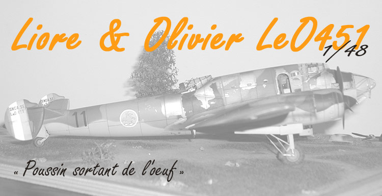 Liore et Olivier LeO 451