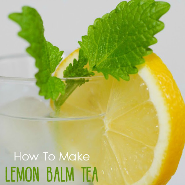 How To Make Lemon Balm Tea AppleGreen Cottage
