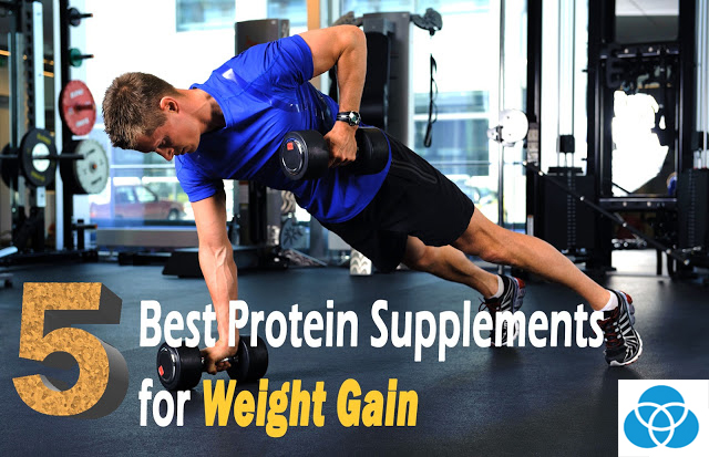 alt="proteins,weight gain proteins,protein supplements,muscle gain"
