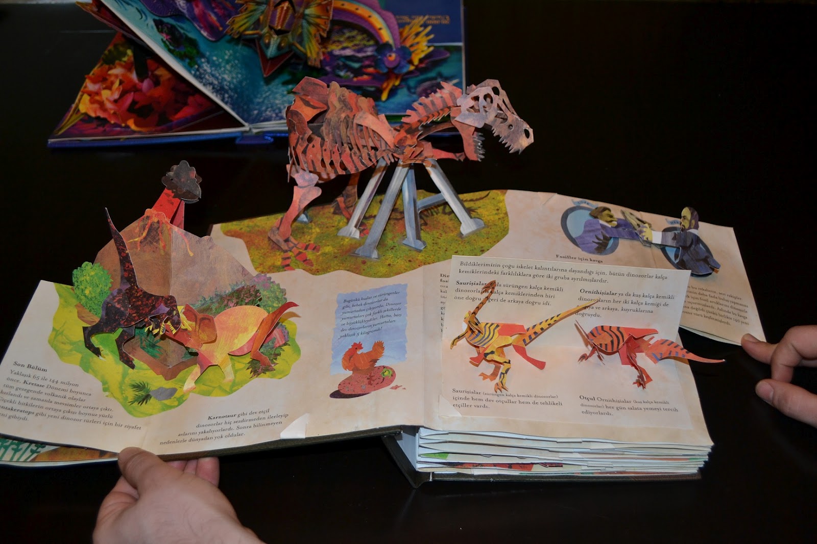 Venus En Me My PopUp Books Collection