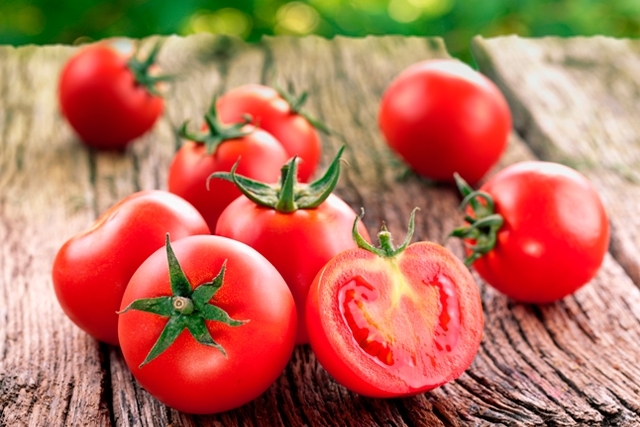 Riscos do consumo de tomate por SHIH-TZU