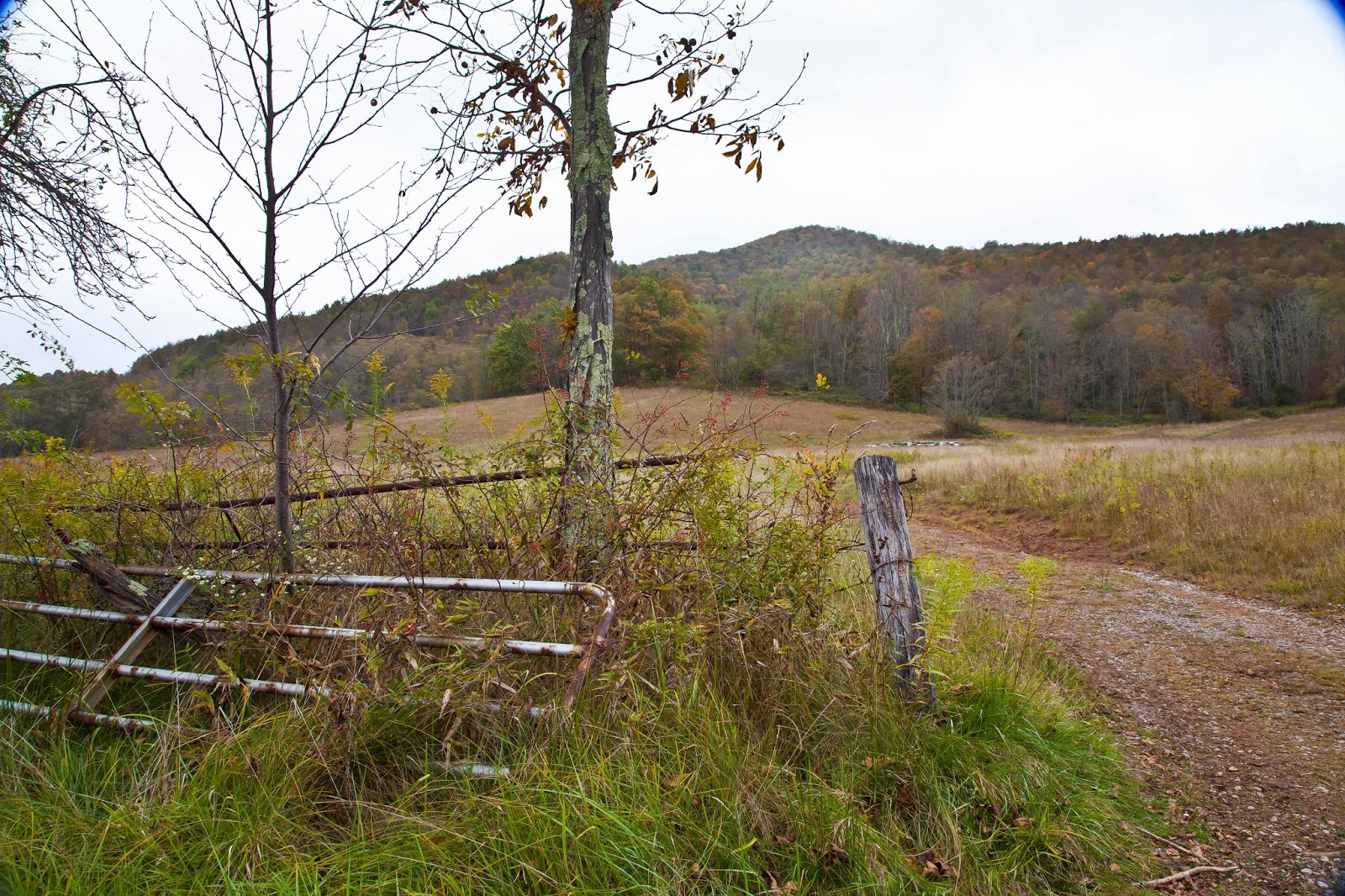 Lincoln's Domain Near Dolly Sods, West Virginia