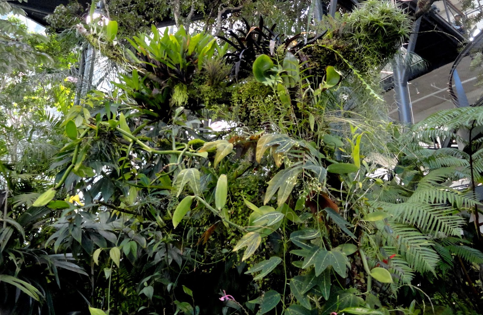 danger garden: Inside the Amazon Spheres Part Two: the rest of the cool ...