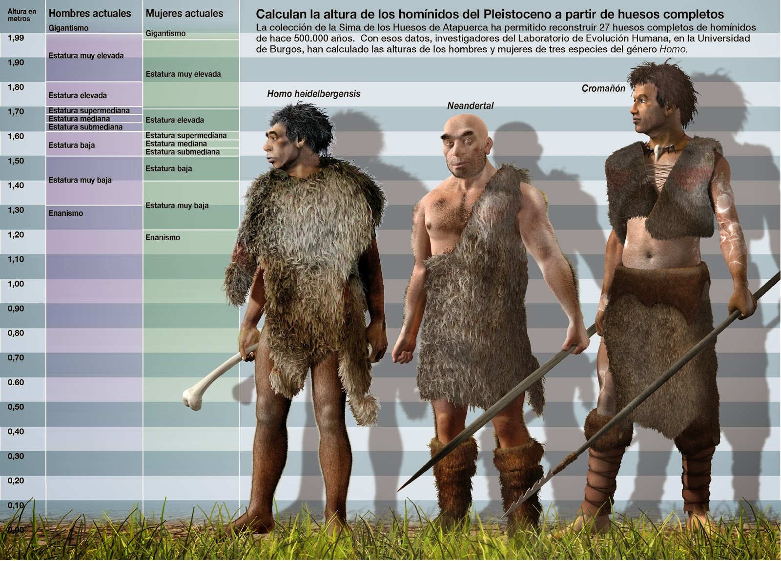 Denisovans Height And Weight Image To U