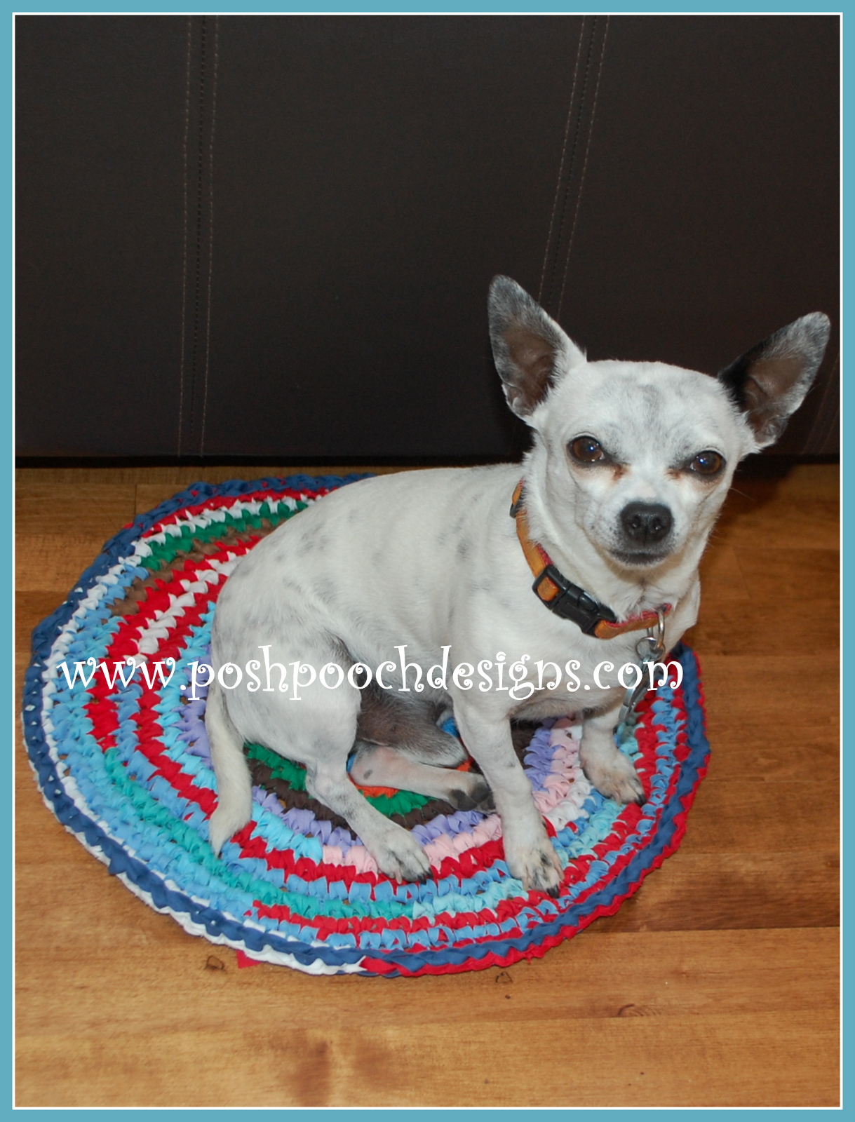 posh-pooch-designs-dog-clothes-round-dog-mat-crochet-pattern
