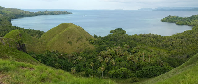 Image result for bukit amelia labuan bajo