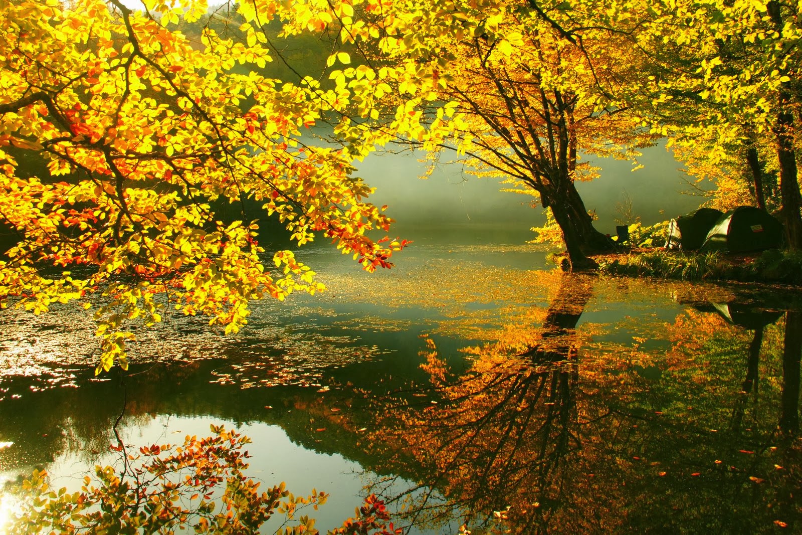 Beautiful Autumn Wallpapers | Most beautiful places in the world ...