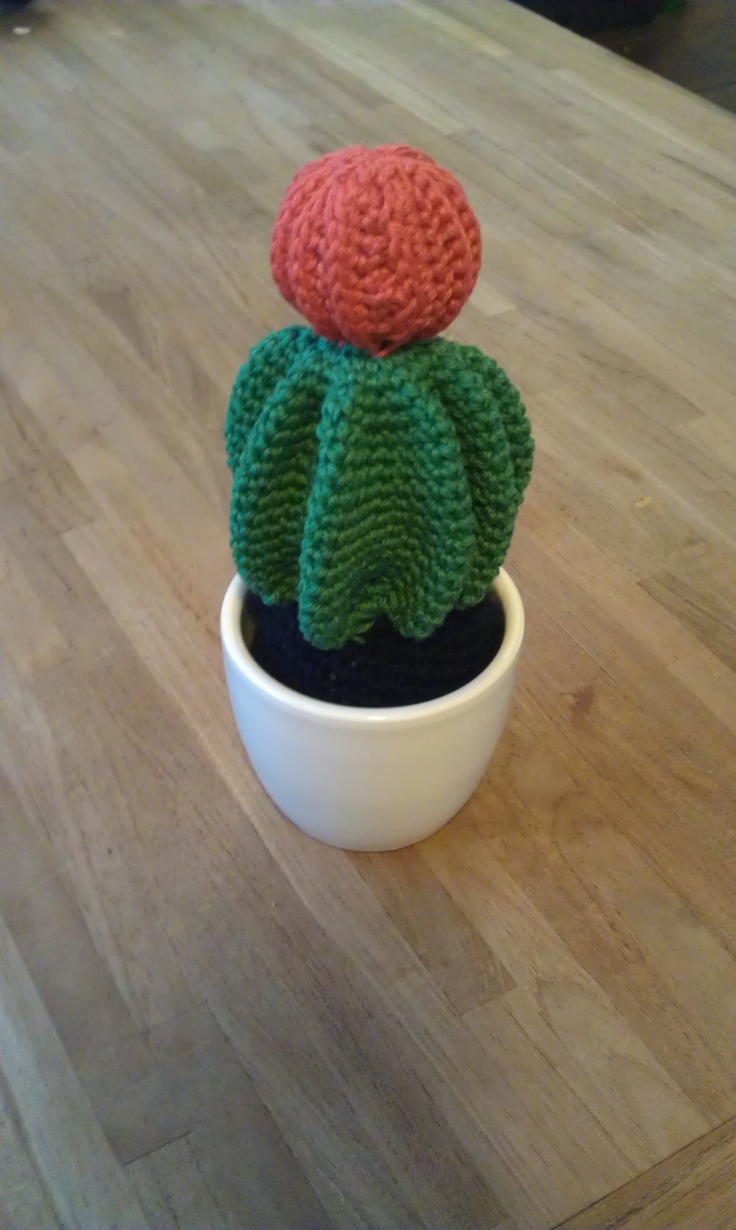 Inspinration Crochet Cactus Tutorial The One With Red Ball On Top Last Week A Friend Came Over And Asked Me For The Pattern Of One Cactuses I Created Cactus In Question With Red Ball On Top From