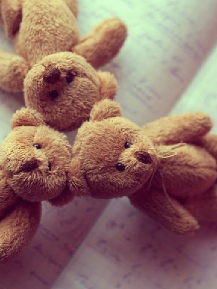 Three Teddy Bears  Android Best Wallpaper