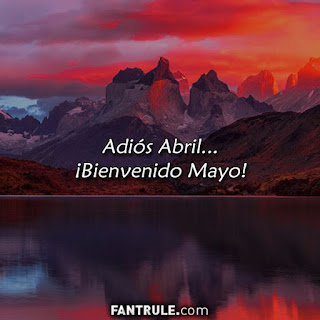 imagenes bienvenido mayo frases