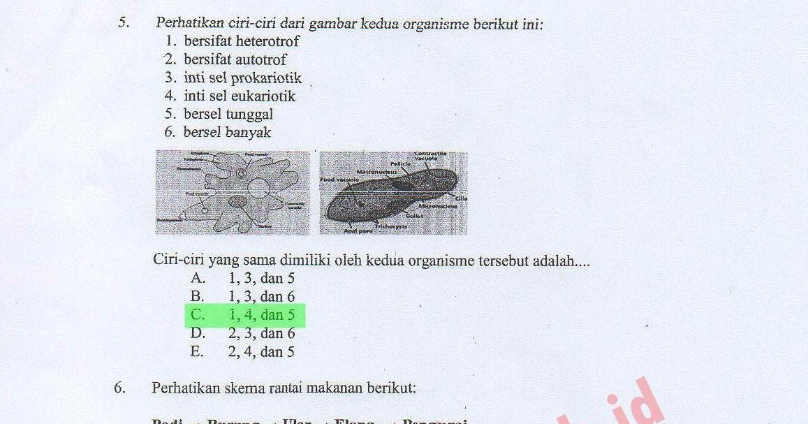 Contoh Soal Usbn Biologi Pengelompokan Makhluk Hidup Dan