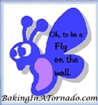Fly on the Wall, a multi-blogger writing challenge | www.BakingInATornado.com | #MyGraphics